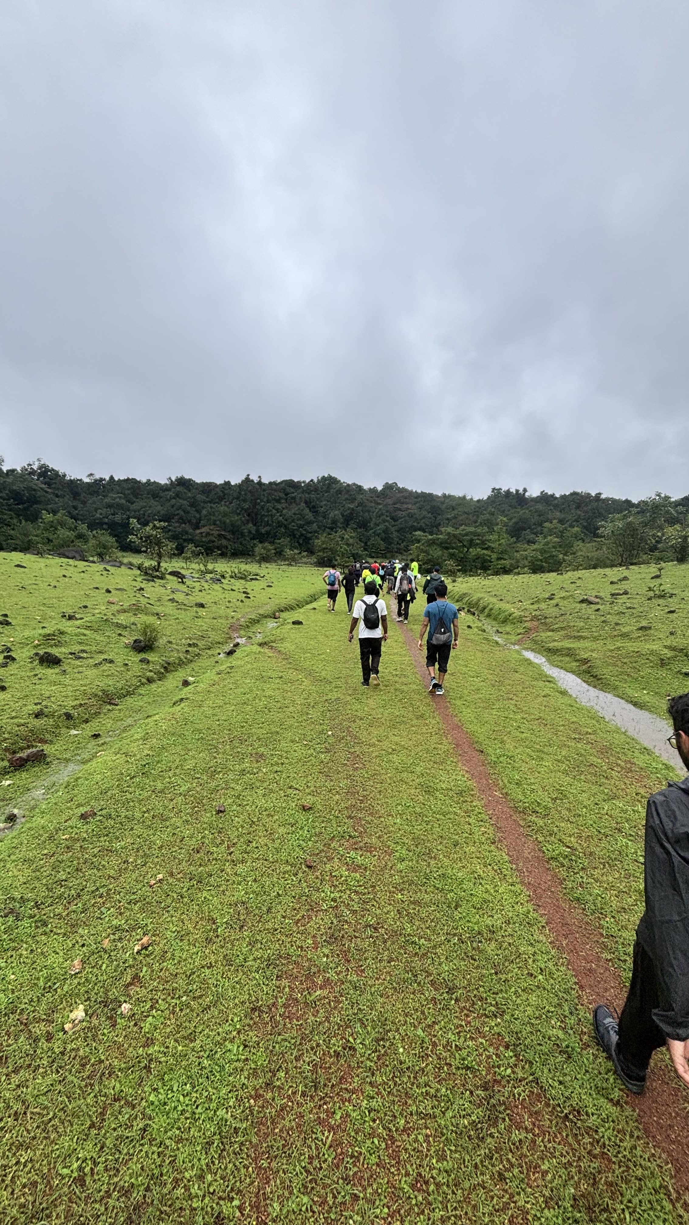 Malenadu Waterfalls Trek - View 1